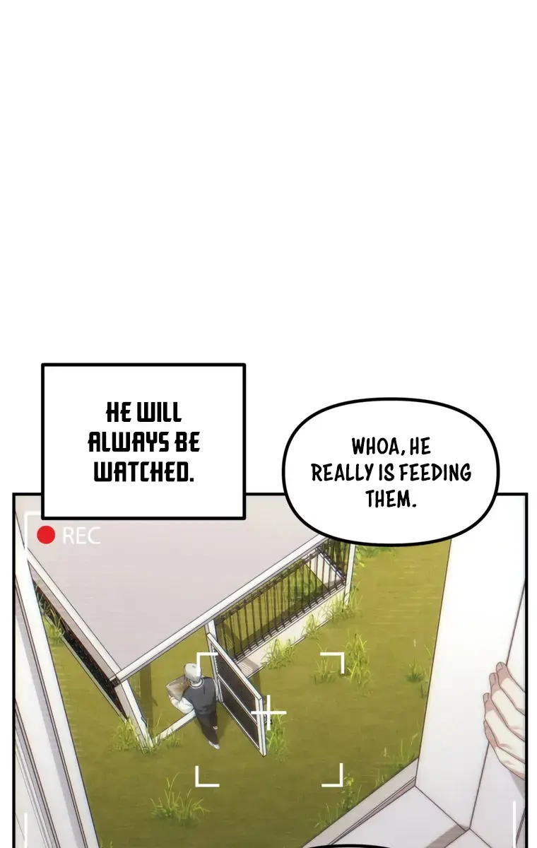 SSS Class Revival Hunter Chapter 135 Page 31