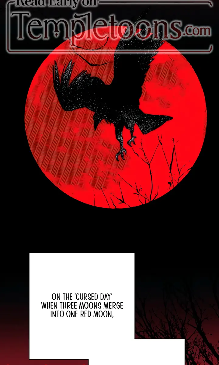 Swan's Grave Chapter 6 Page 64