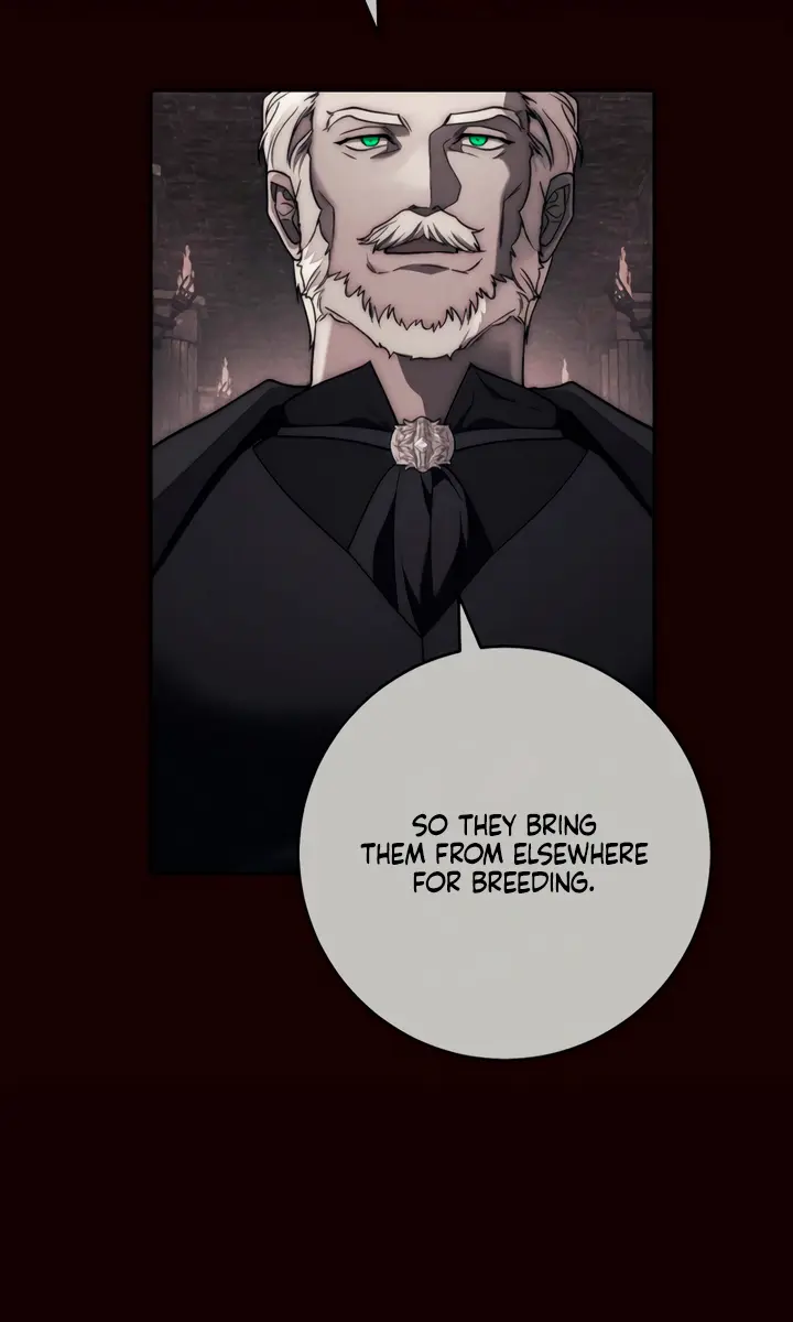 Swan's Grave Chapter 6 Page 72