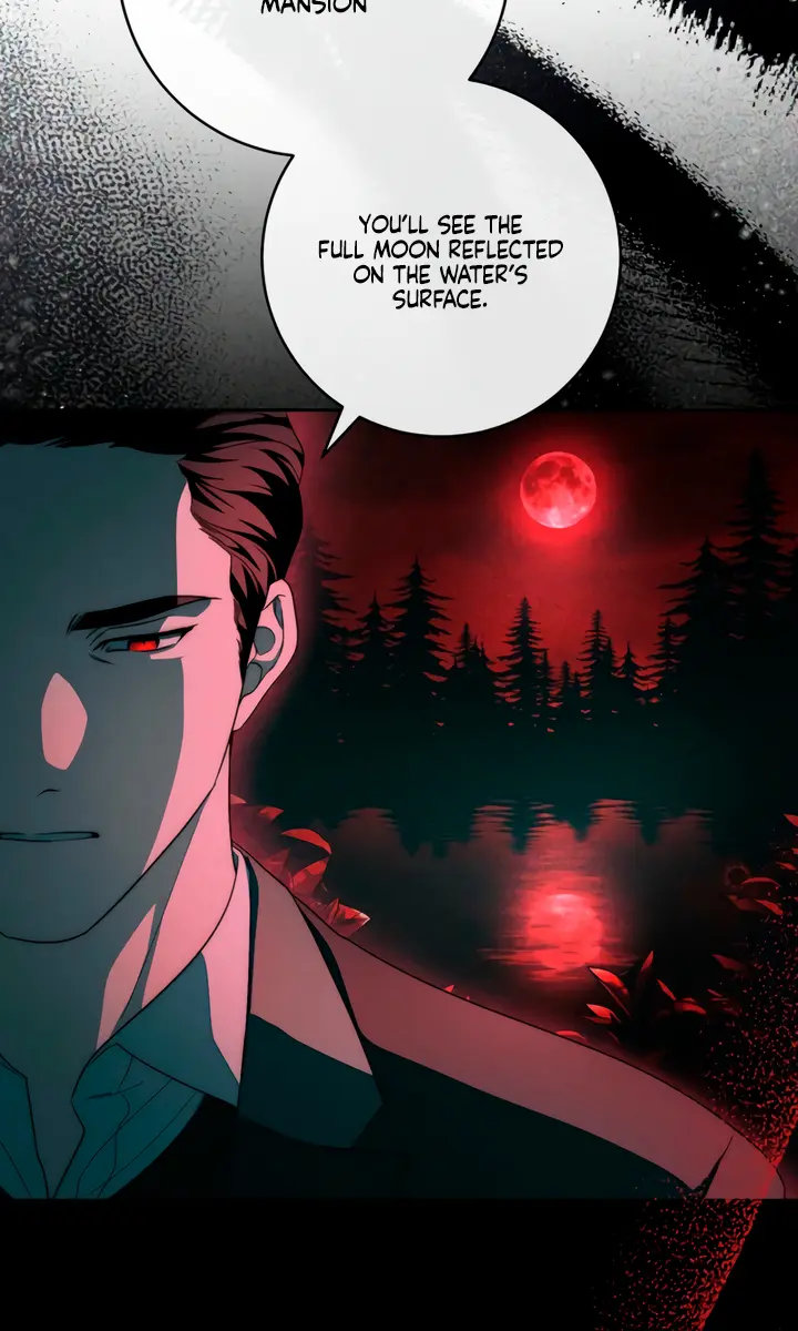 Swan's Grave Chapter 11 Page 65