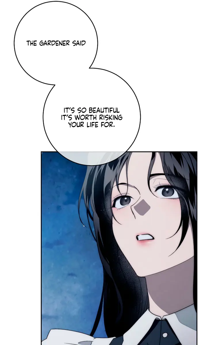 Swan's Grave Chapter 12 Page 81
