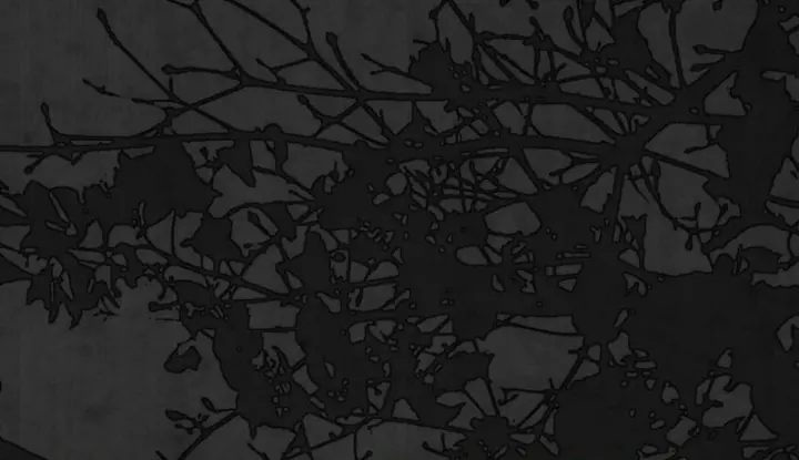 Swan's Grave Chapter 15 Page 60