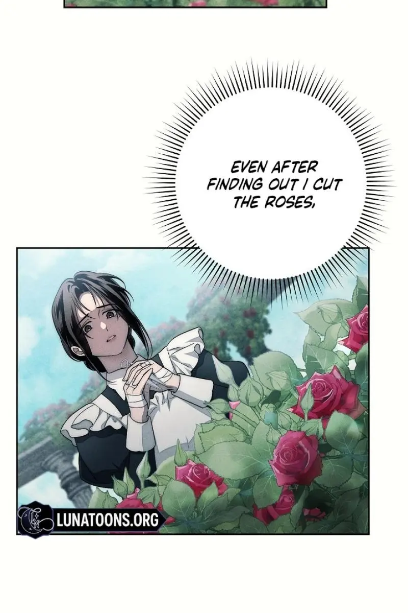 Swan's Grave Chapter 22 Page 100