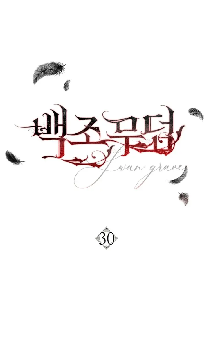 Swan's Grave Chapter 30 Page 39