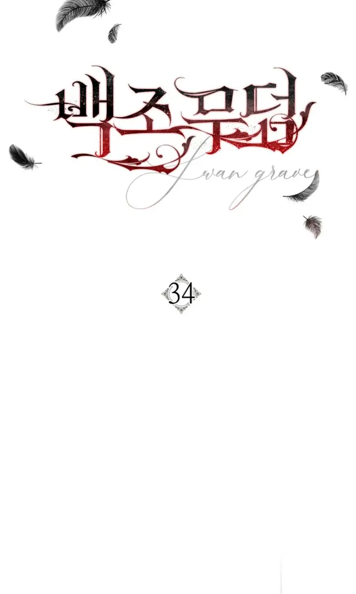 Swan's Grave Chapter 34 Page 40