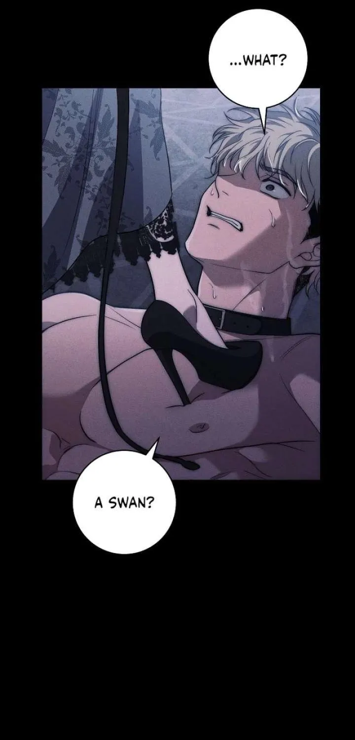 Swan's Grave Chapter 36 Page 41