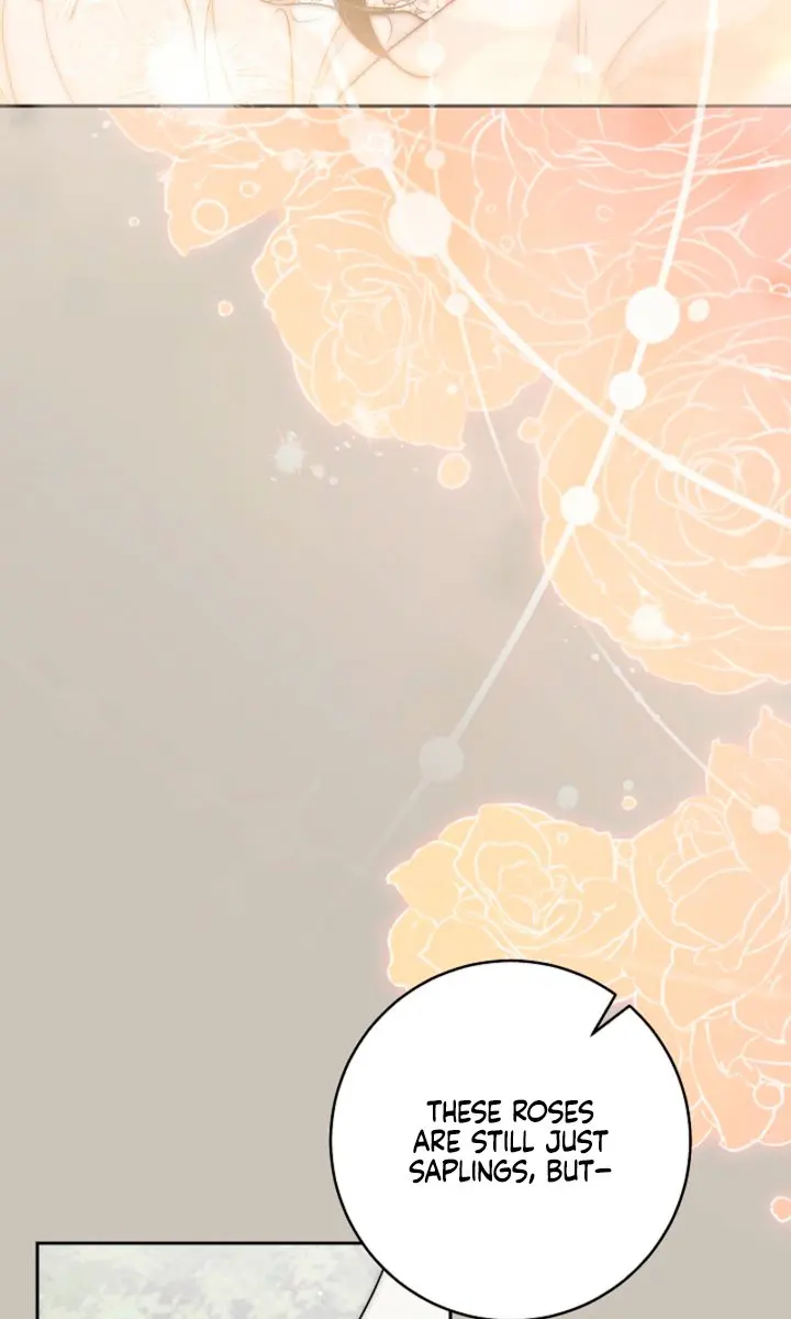 Swan's Grave Chapter 44 Page 79