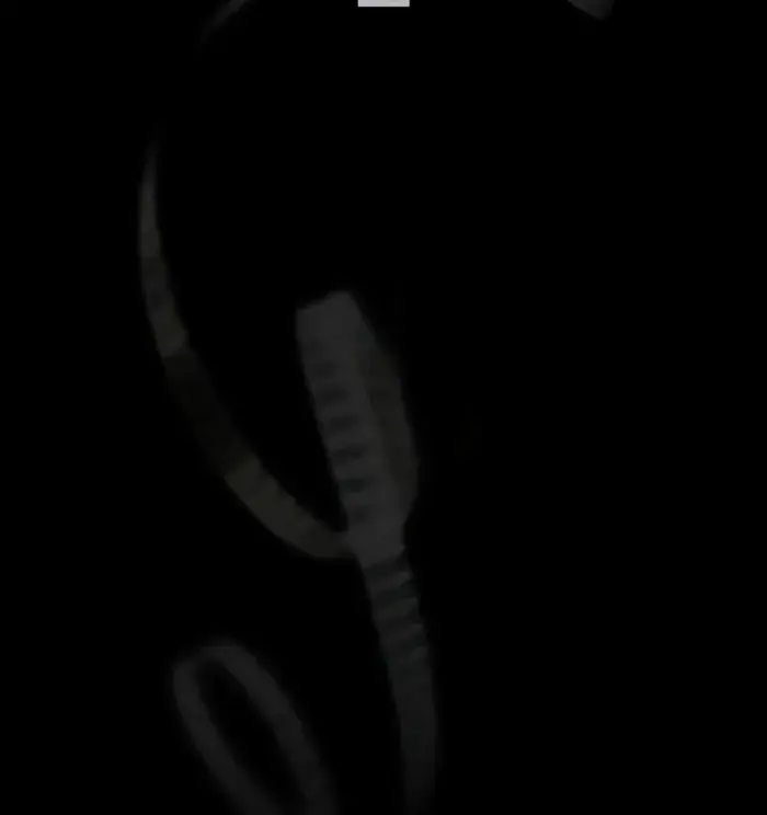 Sword God's Livestream Chapter 28 Page 12