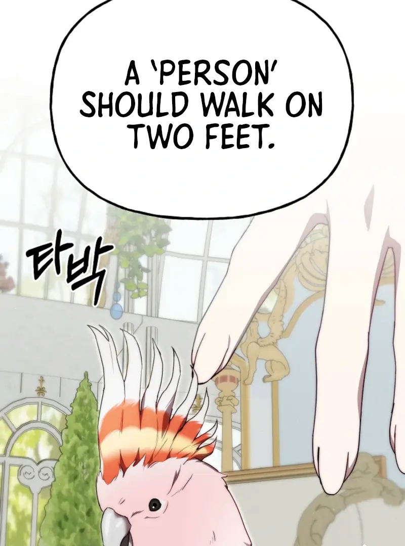 I Tamed the Monster Prince Chapter 12 Page 71