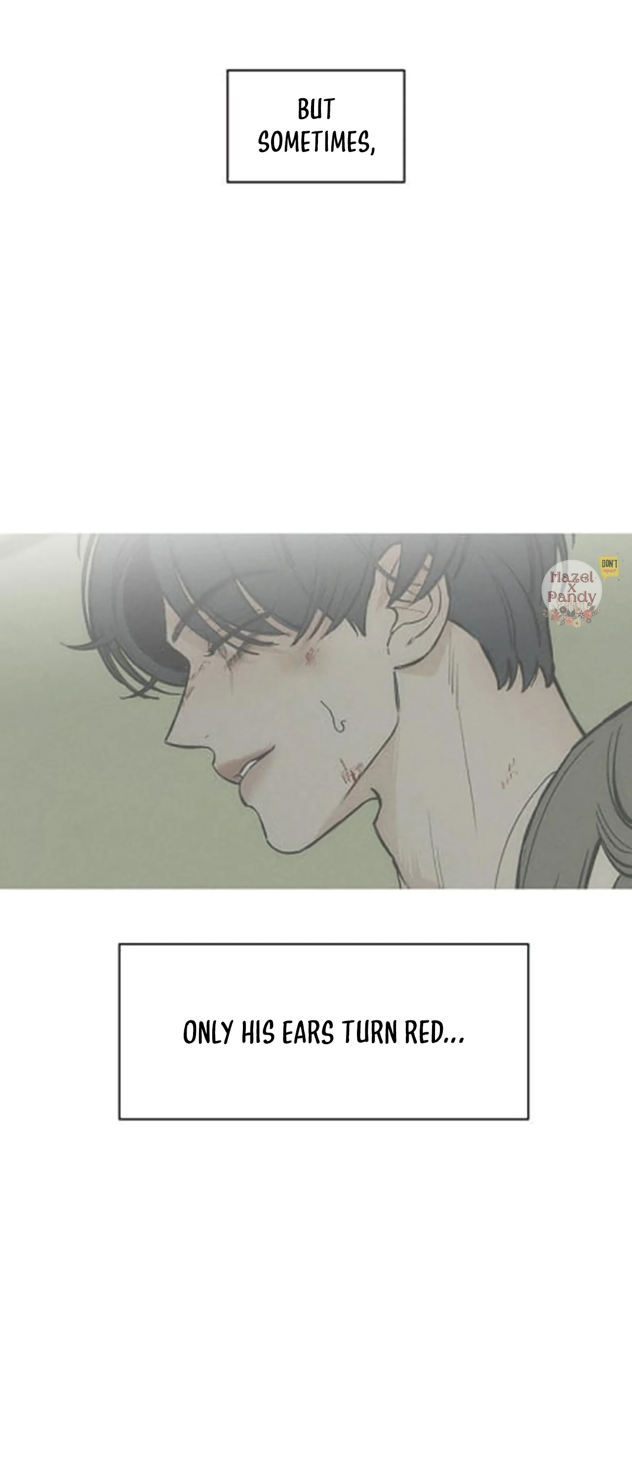 Tears on a Withered Flower Chapter 47 Page 242