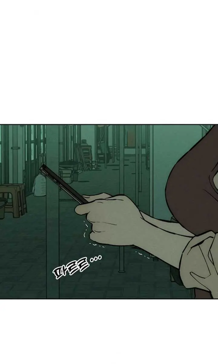 Tears on a Withered Flower Chapter 66 Page 96