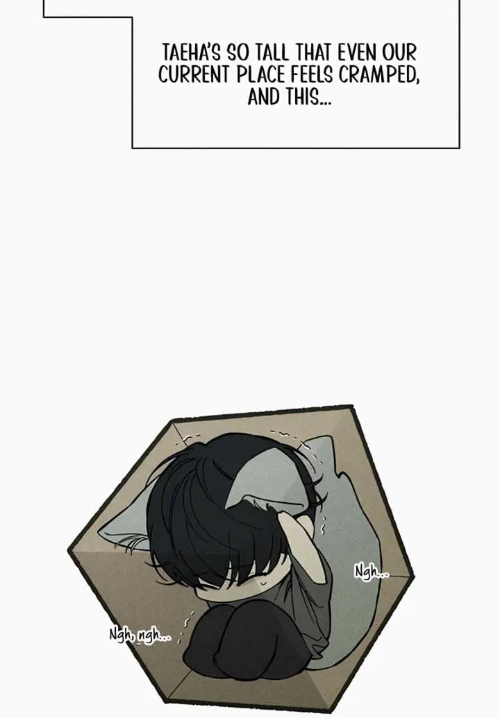 Tears on a Withered Flower Chapter 72 Page 12