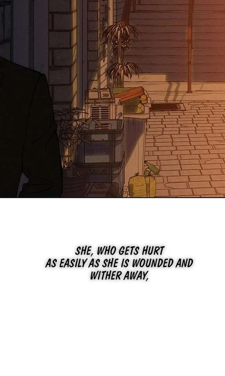 Tears on a Withered Flower Chapter 96 Page 44