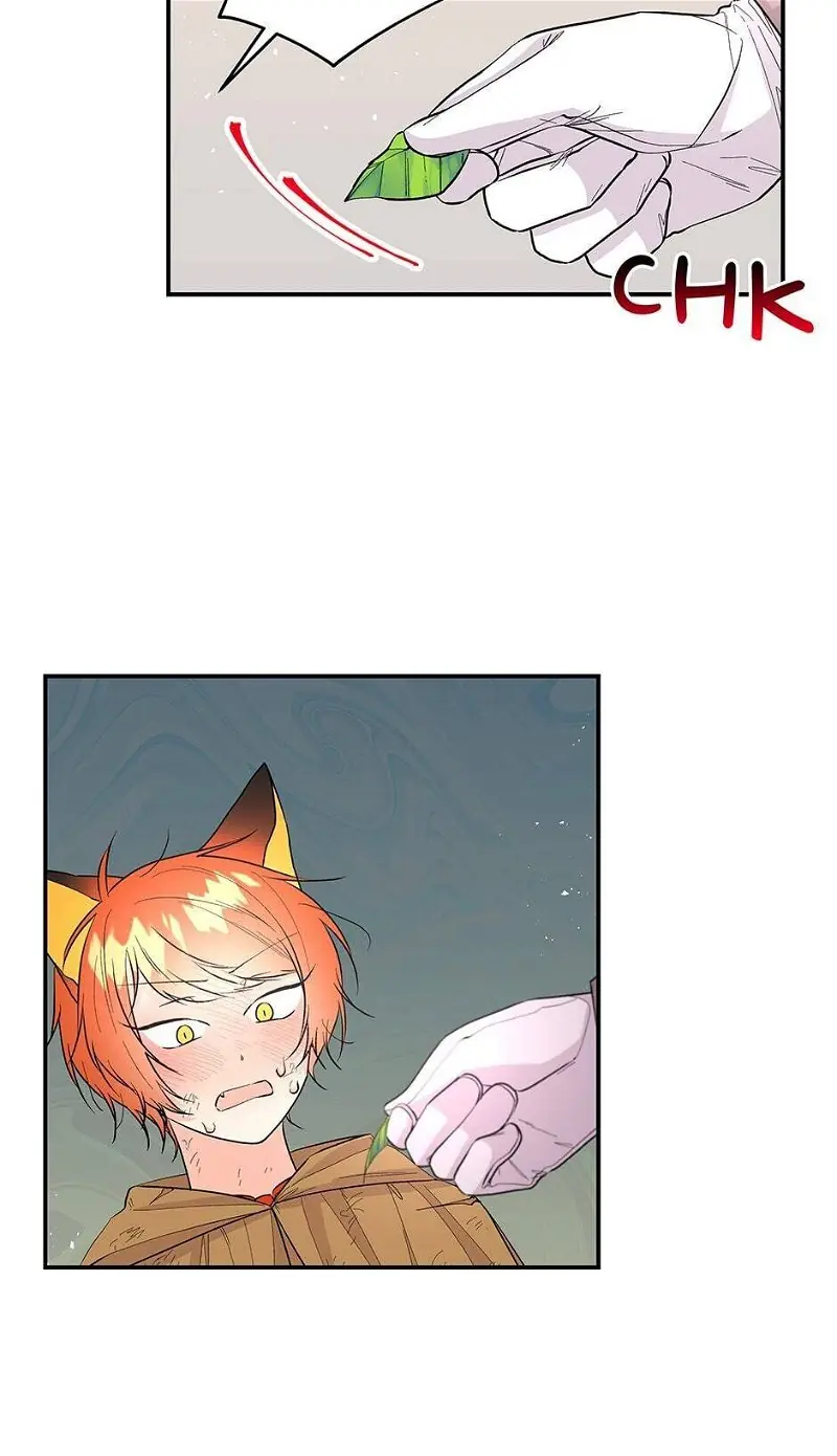 The Archmage's Daughter Chapter 78 Page 37