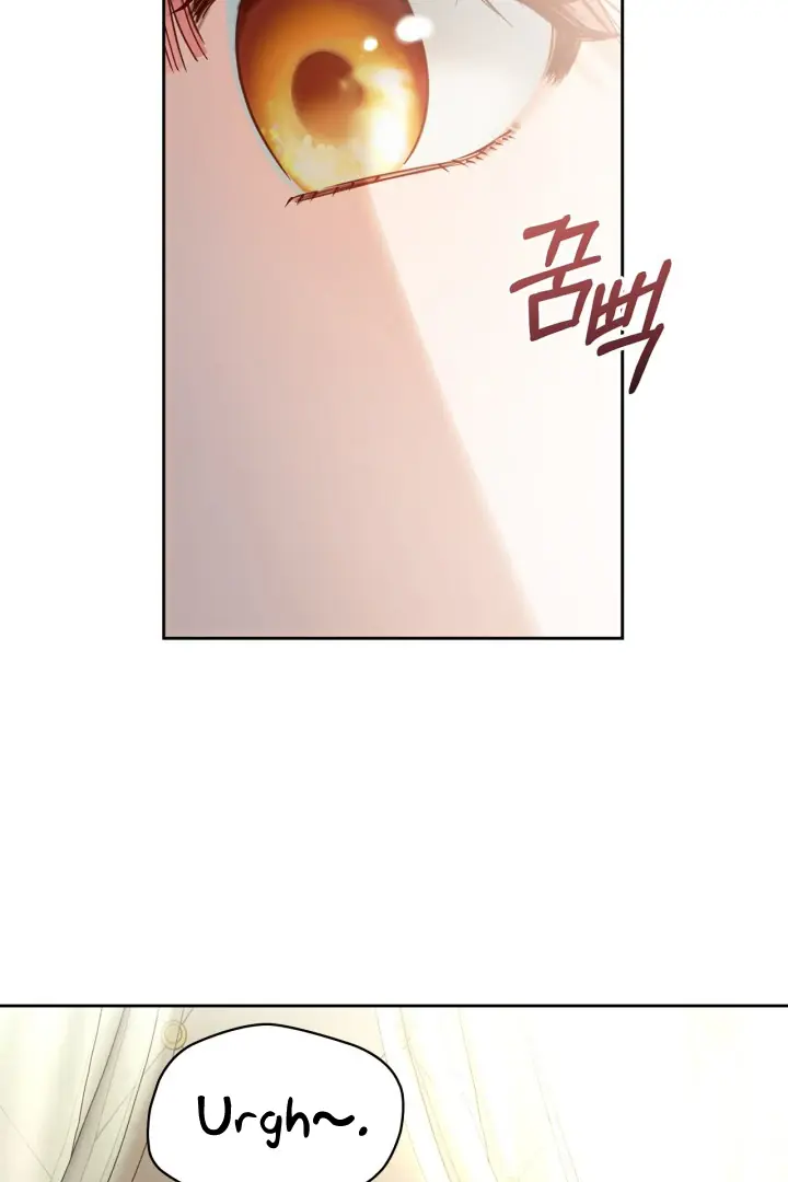 The Baby Prisoner in the Winter Castle Chapter 56 Page 28