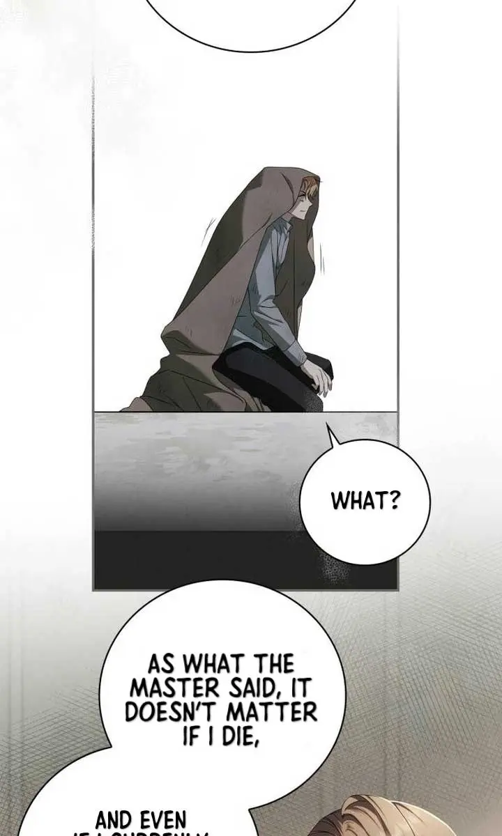 The Count's Secret Maid Chapter 3 Page 31
