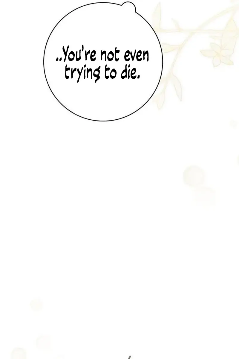 The Count's Secret Maid Chapter 5 Page 144
