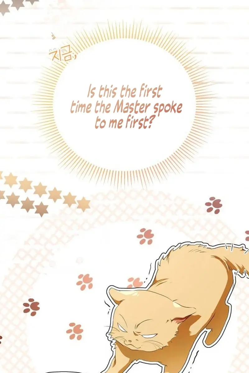 The Count's Secret Maid Chapter 5 Page 157