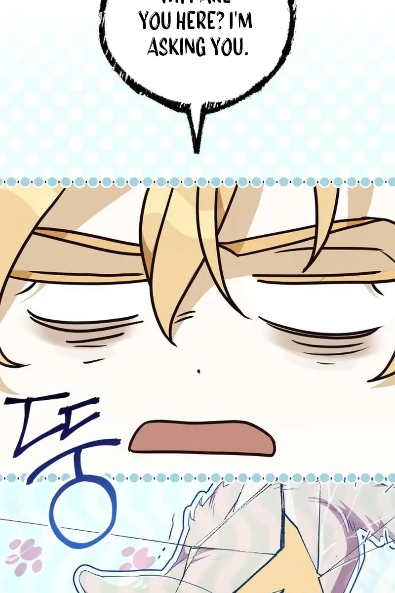 The Count's Secret Maid Chapter 6 Page 5