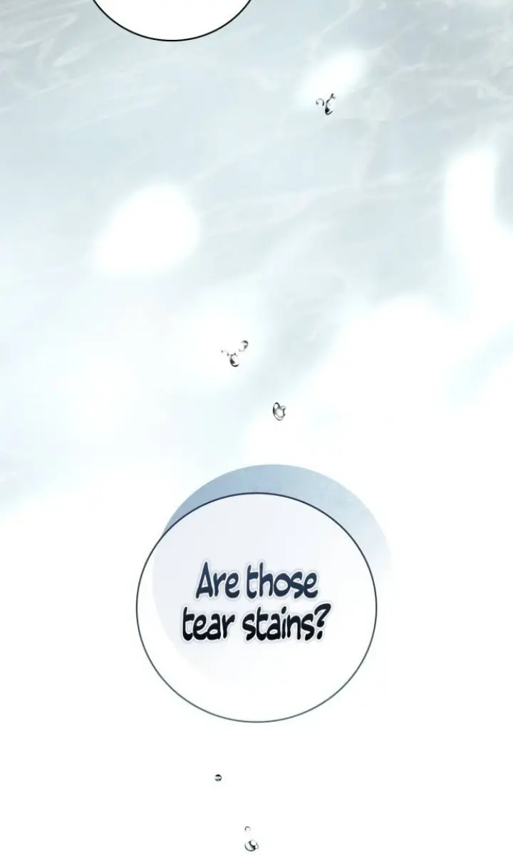 The Count's Secret Maid Chapter 9 Page 7