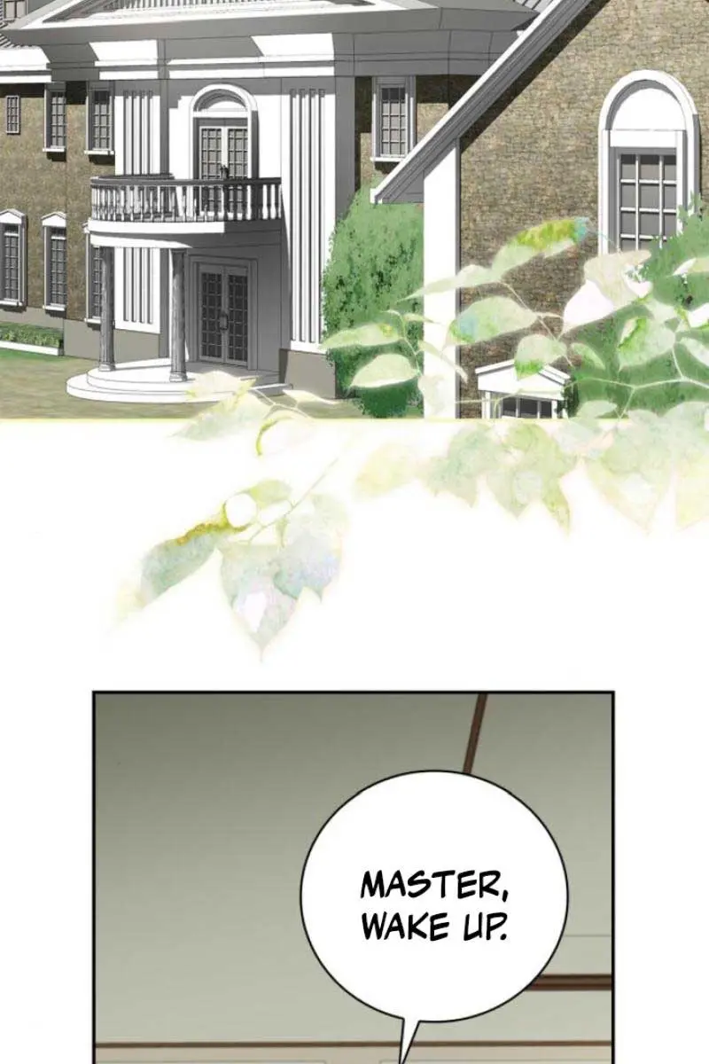 The Count's Secret Maid Chapter 15 Page 23