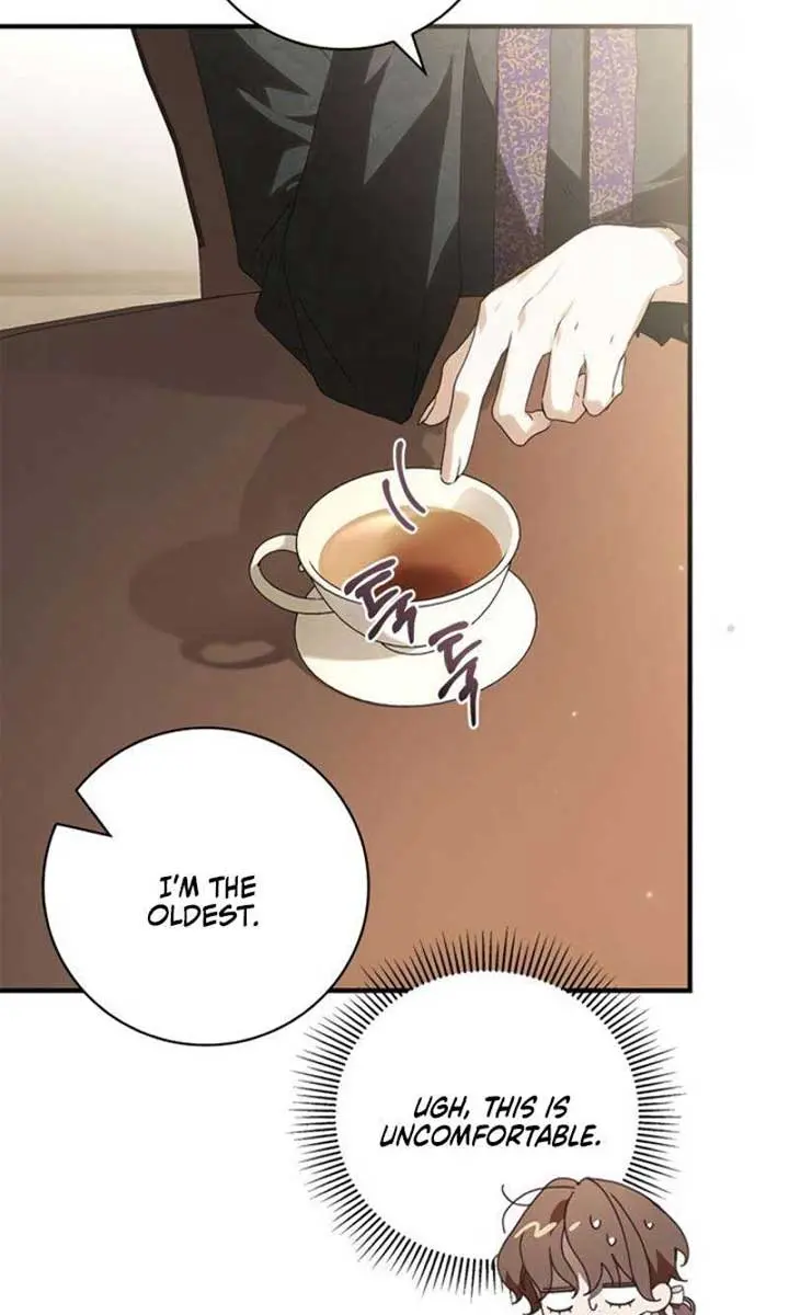 The Count's Secret Maid Chapter 26 Page 26