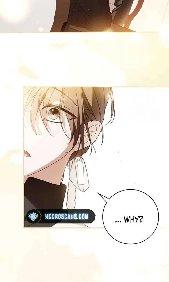 The Count's Secret Maid Chapter 26 Page 61