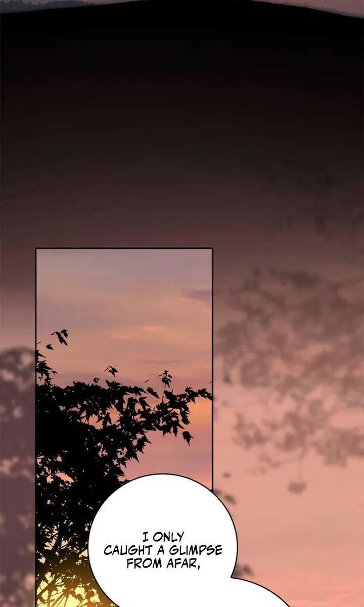 The Count's Secret Maid Chapter 28 Page 39
