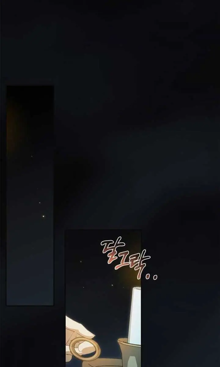 The Count's Secret Maid Chapter 29 Page 14