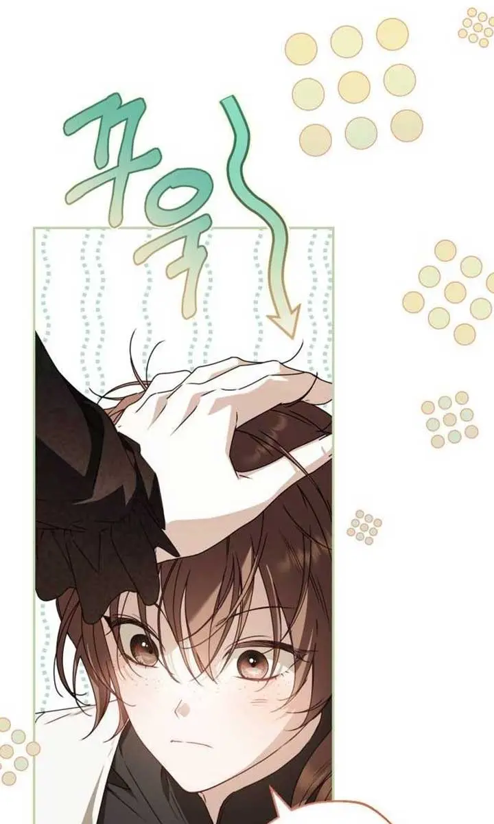 The Count's Secret Maid Chapter 29 Page 28