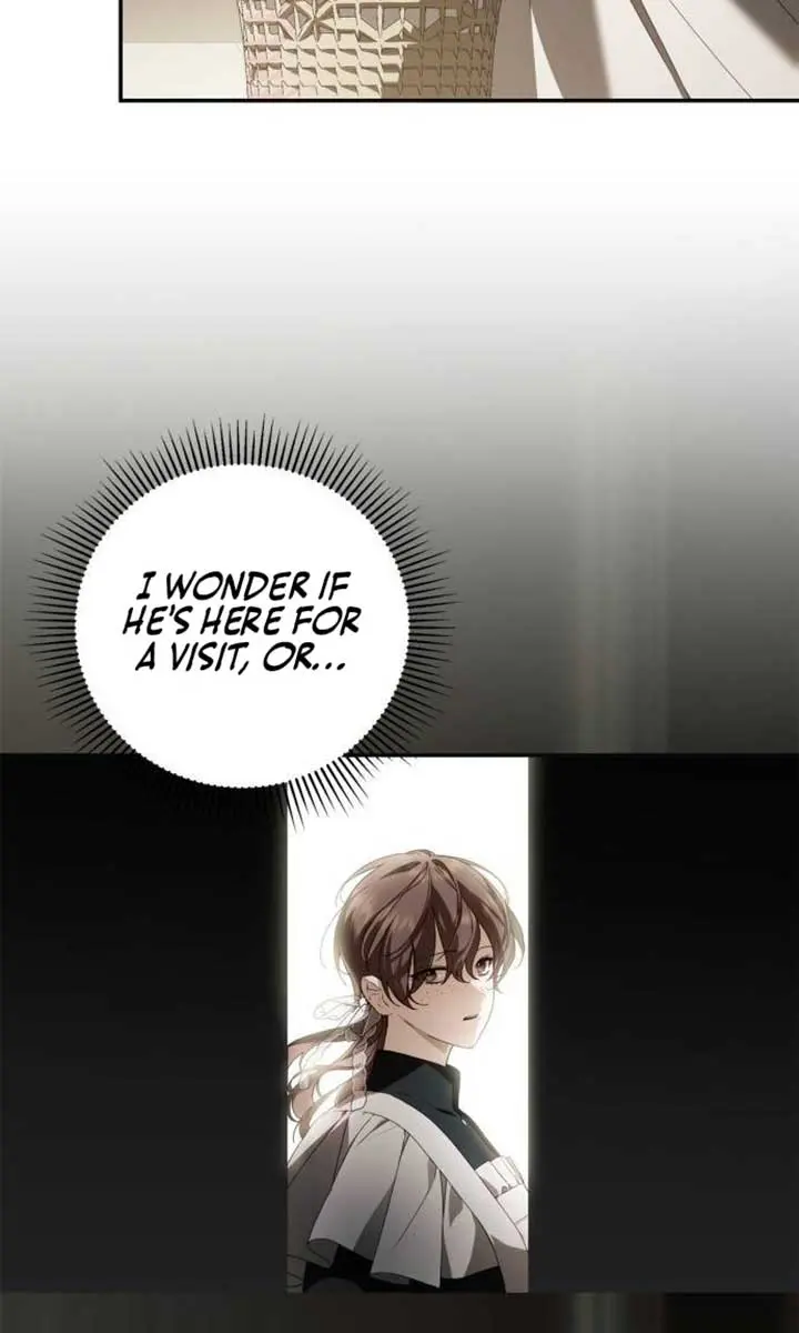 The Count's Secret Maid Chapter 29 Page 77