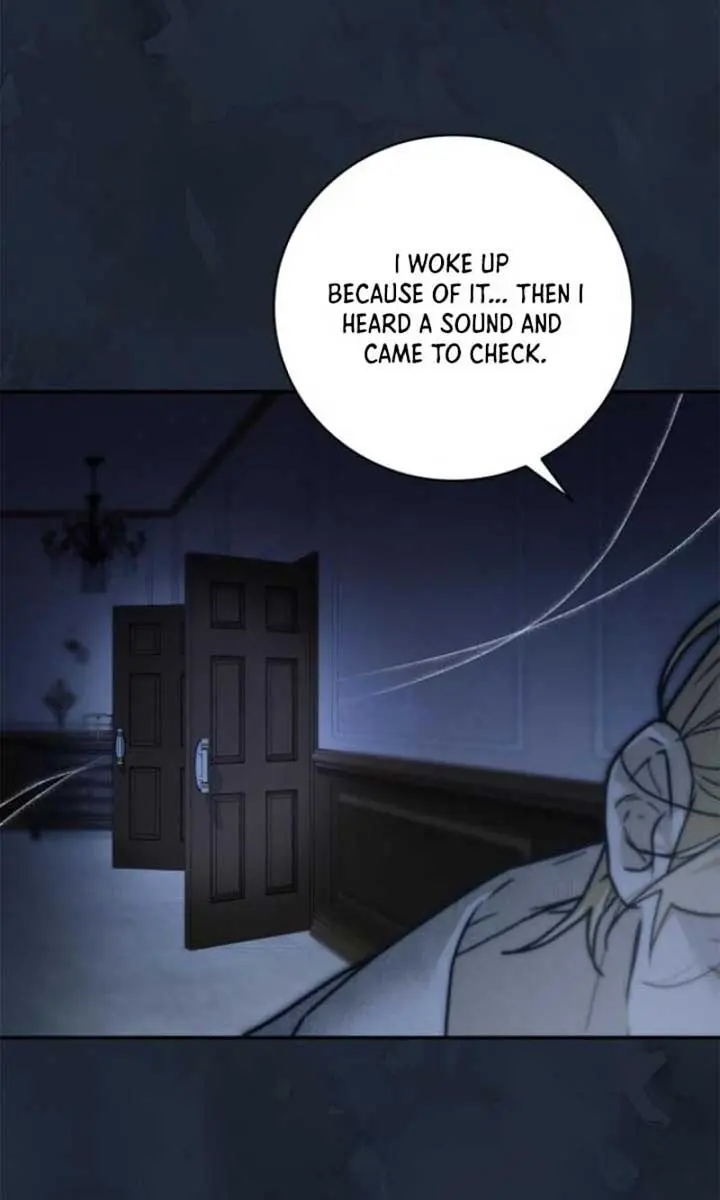 The Count's Secret Maid Chapter 36 Page 9