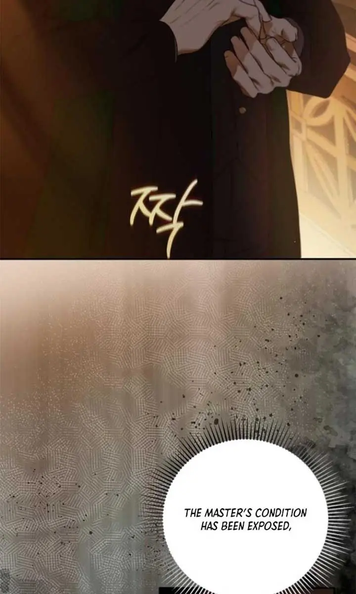 The Count's Secret Maid Chapter 39 Page 17