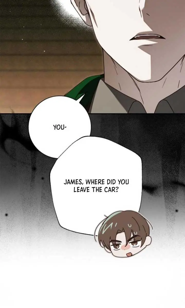 The Count's Secret Maid Chapter 39 Page 28