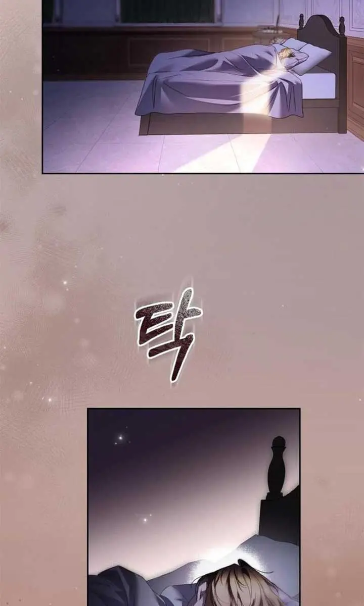 The Count's Secret Maid Chapter 41 Page 18