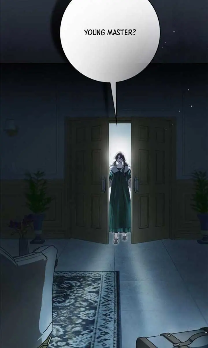 The Count's Secret Maid Chapter 41 Page 27
