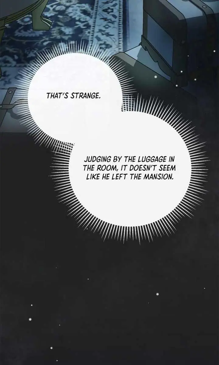 The Count's Secret Maid Chapter 41 Page 28