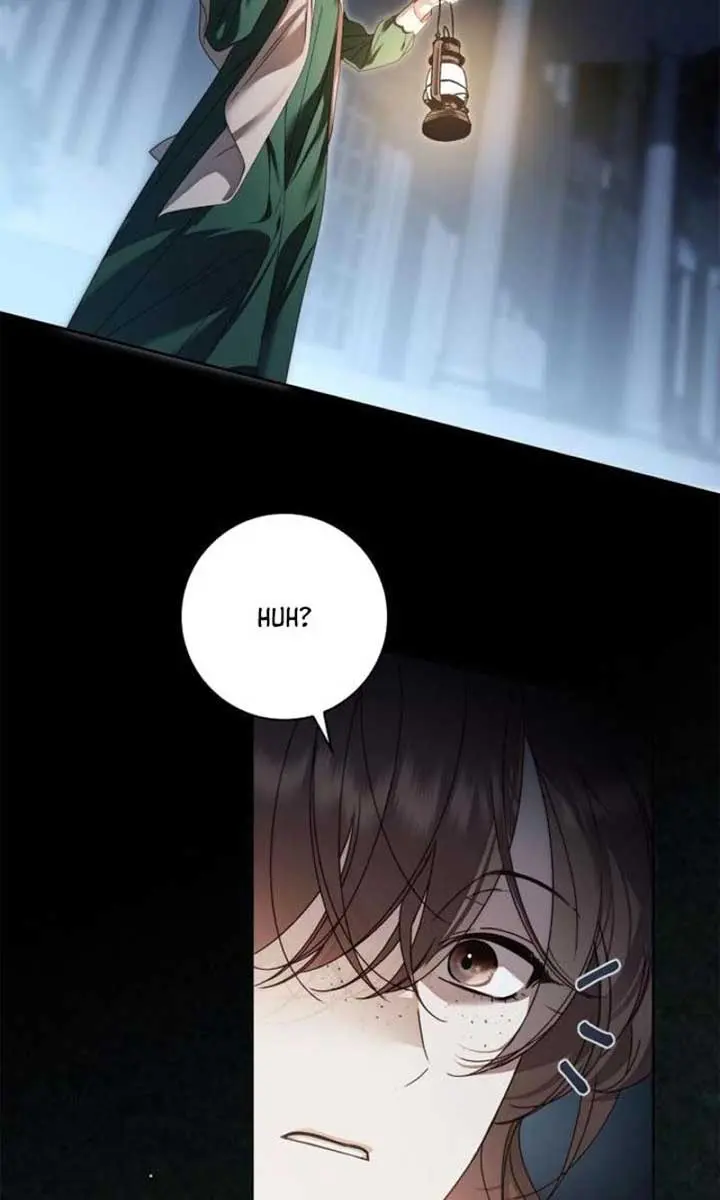 The Count's Secret Maid Chapter 41 Page 31