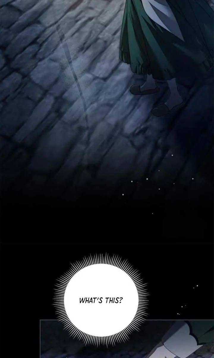 The Count's Secret Maid Chapter 41 Page 33