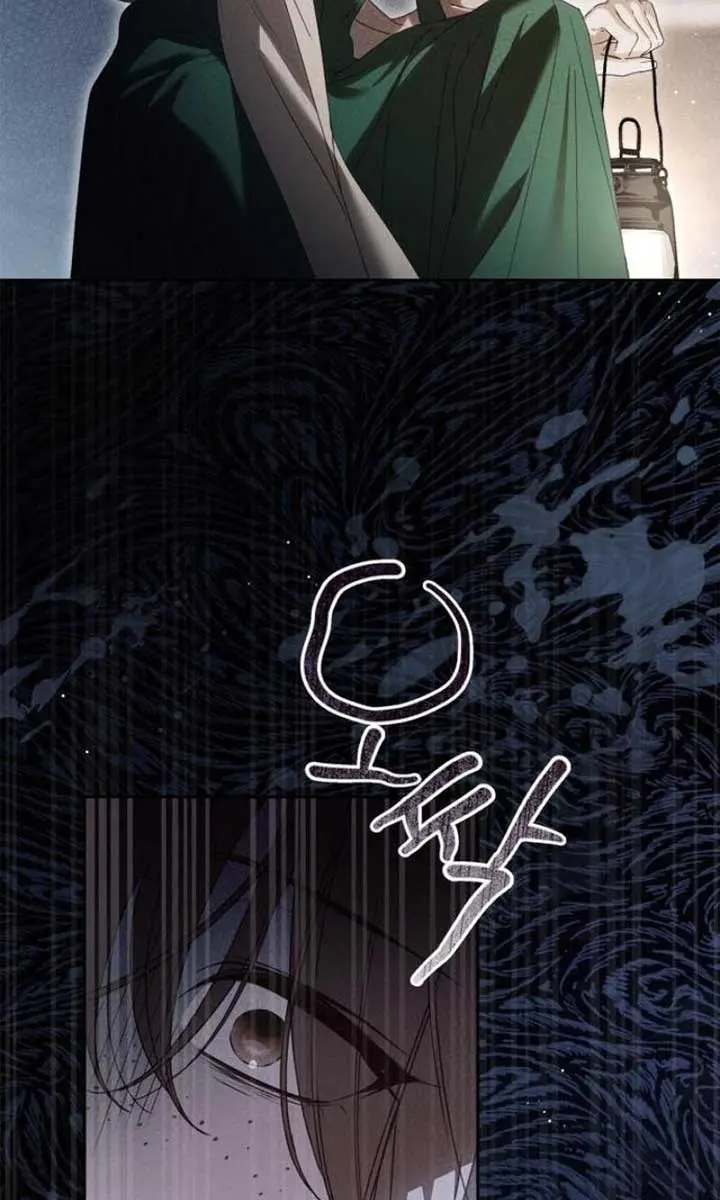 The Count's Secret Maid Chapter 41 Page 35