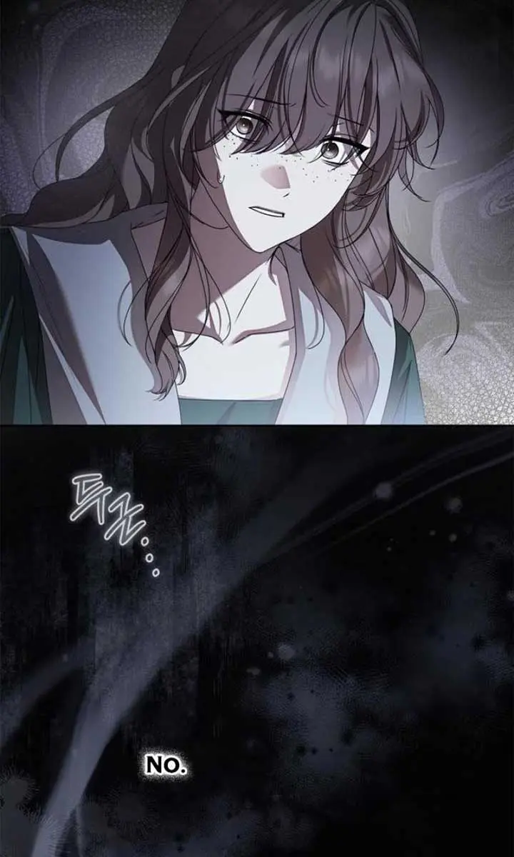 The Count's Secret Maid Chapter 41 Page 39