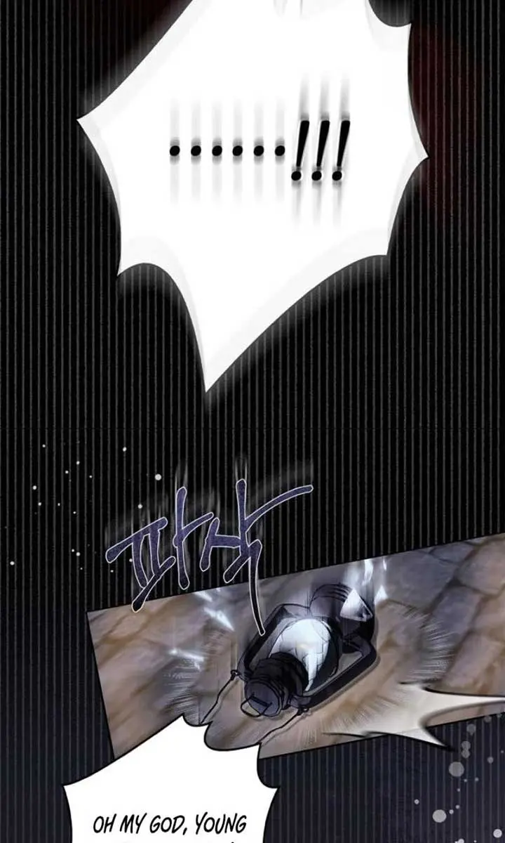 The Count's Secret Maid Chapter 41 Page 47