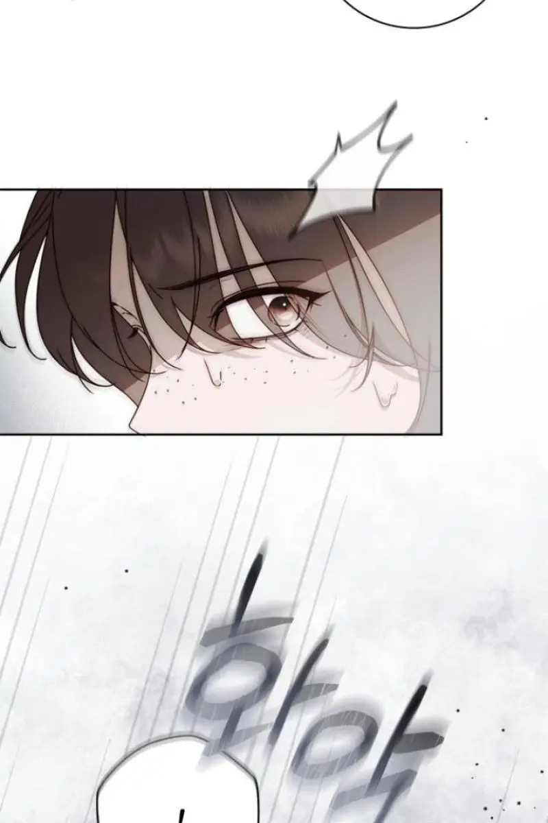The Count's Secret Maid Chapter 42 Page 27