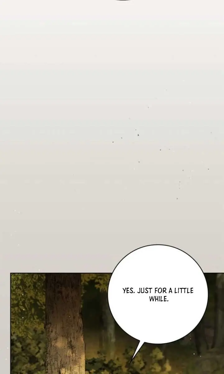 The Count's Secret Maid Chapter 45 Page 91