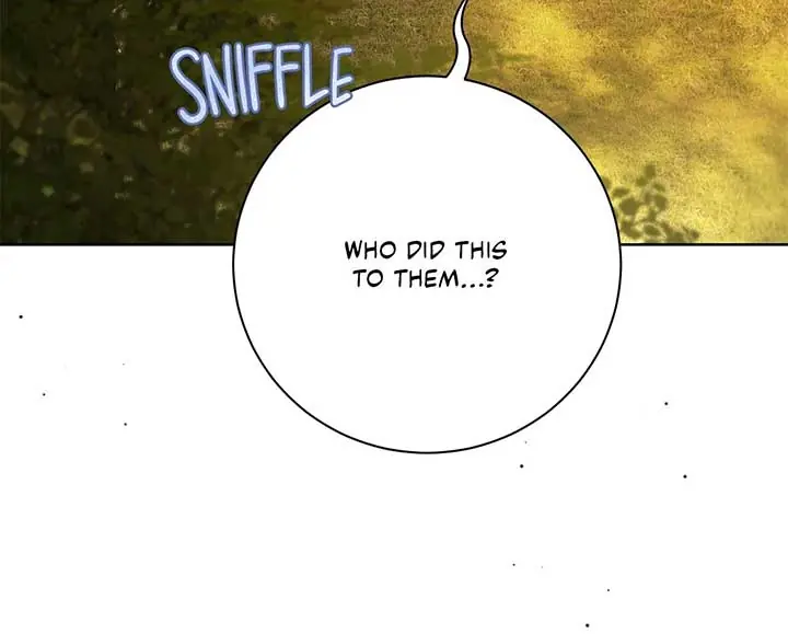 The Count's Secret Maid Chapter 46 Page 16