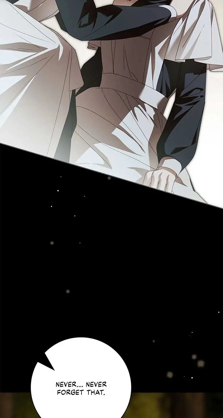 The Count's Secret Maid Chapter 46 Page 27