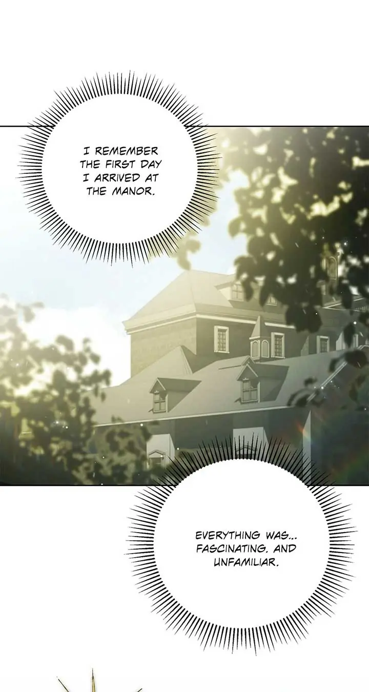The Count's Secret Maid Chapter 46 Page 50