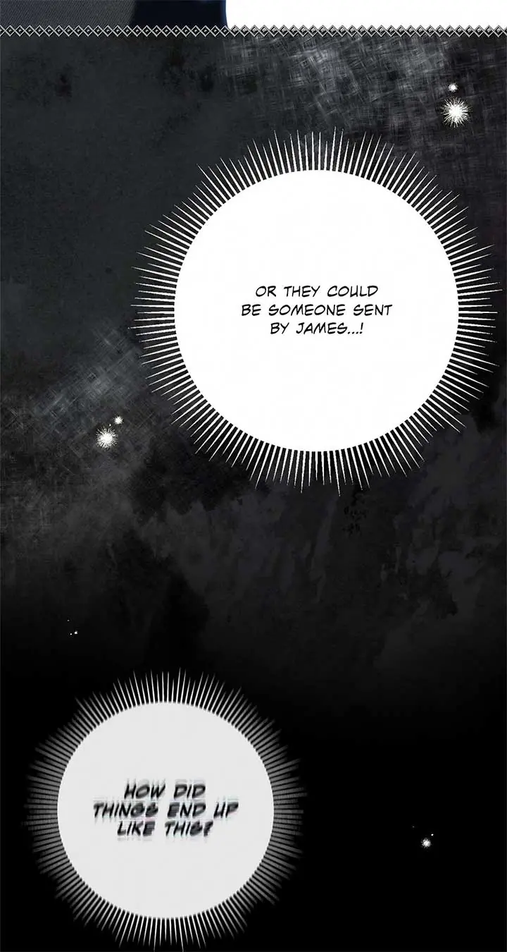 The Count's Secret Maid Chapter 47 Page 51