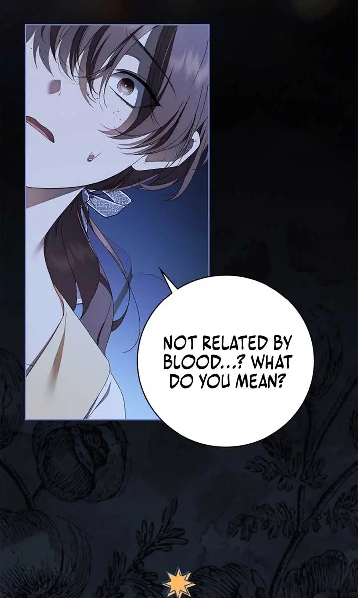 The Count's Secret Maid Chapter 48 Page 30