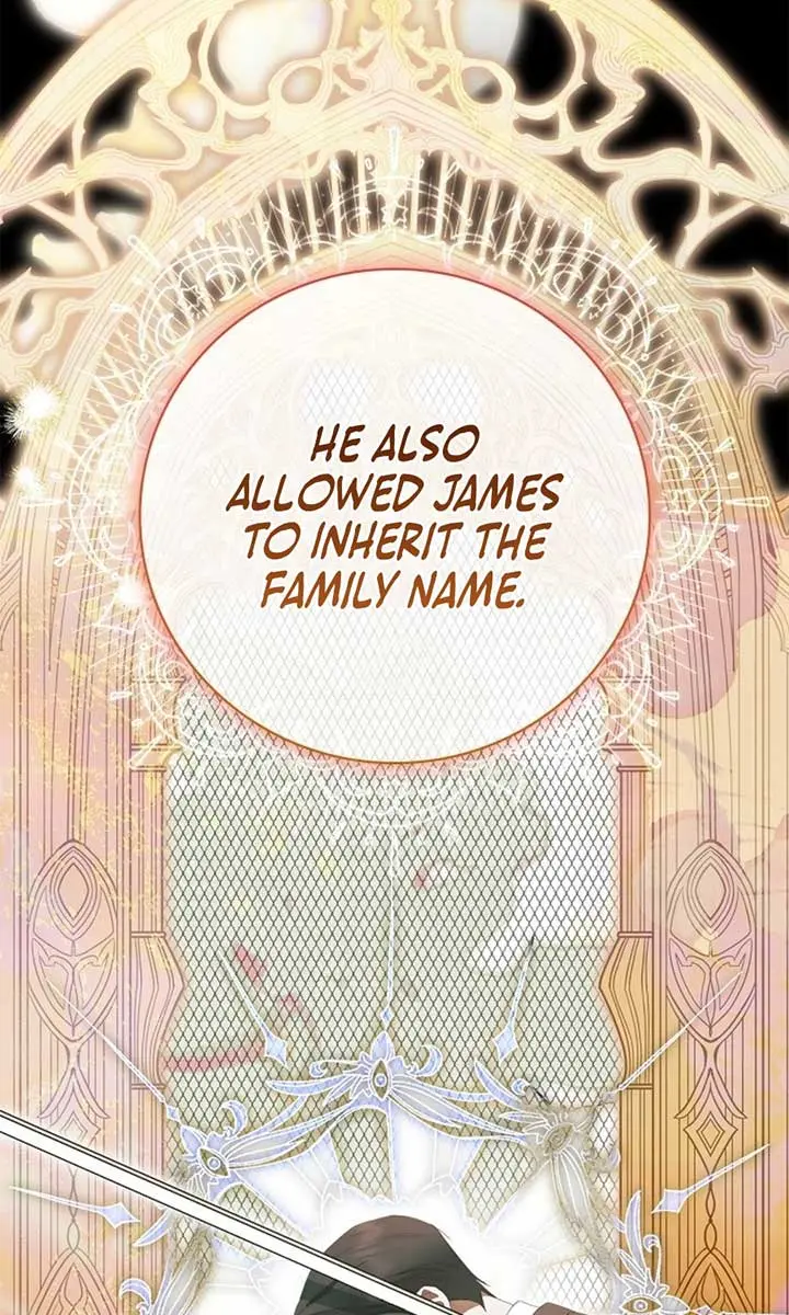 The Count's Secret Maid Chapter 48 Page 37